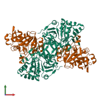 Hetero tetrameric assembly 1 of PDB entry 5n03 coloured by chemically distinct molecules, front view.