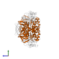 Glutaconate CoA-transferase family, subunit B in PDB entry 5n03, assembly 1, side view.