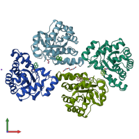 PDB entry 5n1p coloured by chain, front view.