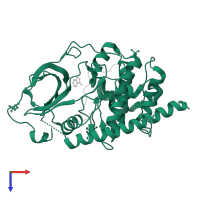cAMP-dependent protein kinase catalytic subunit alpha in PDB entry 5n36, assembly 1, top view.