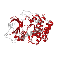The deposited structure of PDB entry 5n3r contains 1 copy of Pfam domain PF00069 (Protein kinase domain) in cAMP-dependent protein kinase catalytic subunit alpha. Showing 1 copy in chain A.