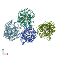 PDB entry 5n4c coloured by chain, front view.