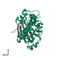 PDB entry 5n5l coloured by chain, side view.