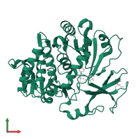 Tyrocidine synthase 1 in PDB entry 5n81, assembly 2, front view.