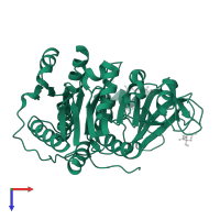 Tyrocidine synthase 1 in PDB entry 5n81, assembly 2, top view.