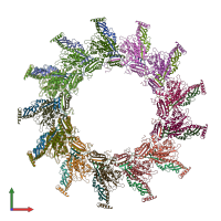 PDB entry 5n8n coloured by chain, front view.