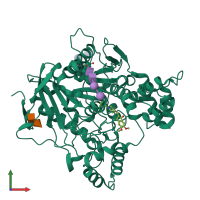 PDB entry 5nap coloured by chain, front view.
