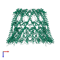 Chain length determinant protein in PDB entry 5nbz, assembly 1, top view.
