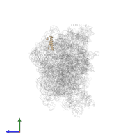 Large ribosomal subunit protein uL29 in PDB entry 5nco, assembly 1, side view.