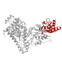 The deposited structure of PDB entry 5nd5 contains 2 copies of CATH domain 3.40.50.920 (Rossmann fold) in transketolase. Showing 1 copy in chain A.