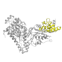 The deposited structure of PDB entry 5nd5 contains 2 copies of Pfam domain PF02780 (Transketolase, C-terminal domain) in transketolase. Showing 1 copy in chain A.