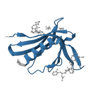 The deposited structure of PDB entry 5ndu contains 2 copies of Pfam domain PF00568 (WH1 domain) in Protein enabled homolog. Showing 1 copy in chain B.