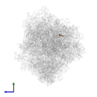 Large ribosomal subunit protein eL39 in PDB entry 5ndv, assembly 2, side view.