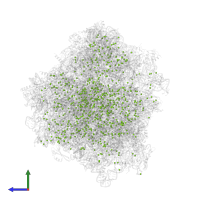 MAGNESIUM ION in PDB entry 5ndw, assembly 1, side view.