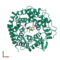 PDB entry 5ne5 coloured by chain, front view.