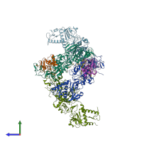 PDB entry 5nfy coloured by chain, side view.