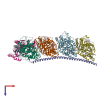 PDB entry 5ng1 coloured by chain, top view.