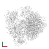 Small ribosomal subunit protein uS14B in PDB entry 5njt, assembly 1, front view.