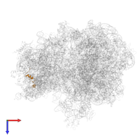 Small ribosomal subunit protein uS14B in PDB entry 5njt, assembly 1, top view.