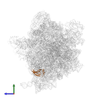 Large ribosomal subunit protein bL19 in PDB entry 5njt, assembly 1, side view.