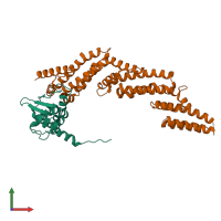 PDB entry 5nlb coloured by chain, front view.