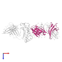 T-cell receptor Alpha chain in PDB entry 5nme, assembly 2, top view.