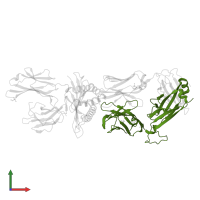 Human T-cell receptor beta chain in PDB entry 5nme, assembly 2, front view.