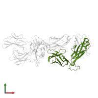 Human T-cell Receptor beta chain in PDB entry 5nmg, assembly 1, front view.