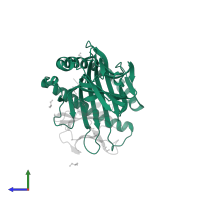 HLA class I histocompatibility antigen, A alpha chain in PDB entry 5nmh, assembly 1, side view.