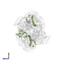 Cytochrome b-c1 complex subunit Rieske, mitochondrial in PDB entry 5nmi, assembly 1, side view.