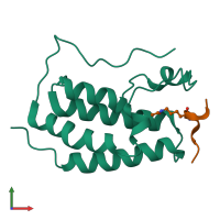 PDB entry 5nnf coloured by chain, front view.