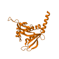 The deposited structure of PDB entry 5nnp contains 2 copies of CATH domain 3.40.630.30 (Aminopeptidase) in N-acetyltransferase domain-containing protein. Showing 1 copy in chain B.