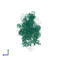 16S ribosomal RNA in PDB entry 5no2, assembly 1, side view.