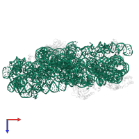 16S ribosomal RNA in PDB entry 5no2, assembly 1, top view.