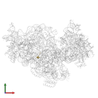 Small ribosomal subunit protein uS12 in PDB entry 5no4, assembly 1, front view.