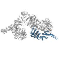 The deposited structure of PDB entry 5np0 contains 2 copies of Pfam domain PF02259 (FAT domain) in Serine-protein kinase ATM. Showing 1 copy in chain A.