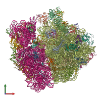 PDB entry 5np6 coloured by chain, front view.