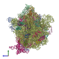 PDB entry 5np6 coloured by chain, side view.