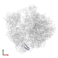 Small ribosomal subunit protein bS20 in PDB entry 5np6, assembly 1, front view.
