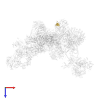 U6 snRNA-associated Sm-like protein LSm7 in PDB entry 5nrl, assembly 1, top view.