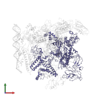 DNA-directed RNA polymerase subunit beta' in PDB entry 5nsr, assembly 1, front view.