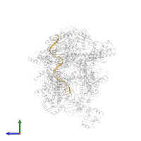 Non-Template promoter DNA in PDB entry 5nsr, assembly 1, side view.