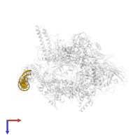 Non-Template promoter DNA in PDB entry 5nsr, assembly 1, top view.