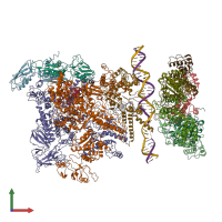 PDB entry 5nss coloured by chain, front view.