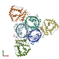PDB entry 5nup coloured by chain, front view.