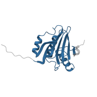 The deposited structure of PDB entry 5nvn contains 2 copies of Pfam domain PF01652 (Eukaryotic initiation factor 4E) in Eukaryotic translation initiation factor 4E type 2. Showing 1 copy in chain C.