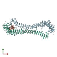 PDB entry 5nw5 coloured by chain, front view.