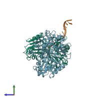 PDB entry 5nwa coloured by chain, side view.