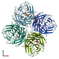 PDB entry 5nzn coloured by chain, front view.