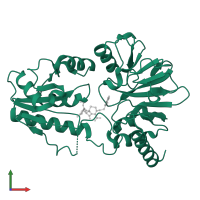 DNA cross-link repair 1A protein in PDB entry 5nzw, assembly 1, front view.